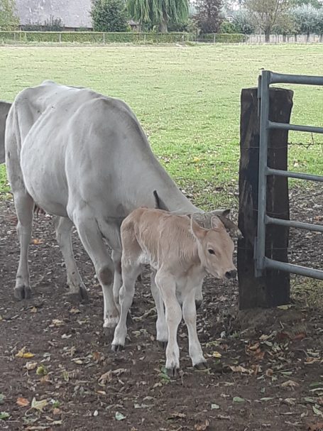 Boerderij Winkel Bakerweerd
